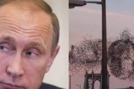 Kì lạ đàn chim xếp hình Tổng thống Putin ở New York?