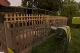 Một khách sạn dành riêng cho gà tại Anh