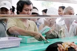Ốm và đau