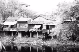 Năng lực yếu - vi phạm nhiều