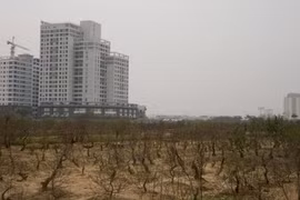 Đất vườn ao được chuyển thành đất ở