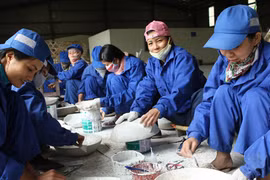 Lương chủ và thợ: Ngày càng xa 