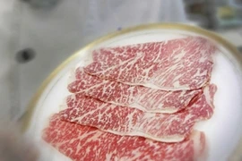 Có thật là thịt bò Kobe?