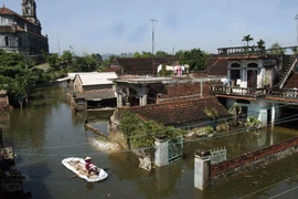 Kỳ I: Chôn rừng