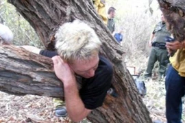 Cây “nuốt” người