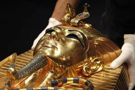 Một nửa nam giới châu Âu là hậu duệ của Pharaon