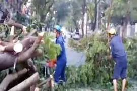 Mưa lớn tại TP.HCM, 1 phụ nữ bị cây đè chết