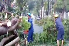 Mưa lớn tại TP.HCM, 1 phụ nữ bị cây đè chết