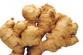 Gừng chữa viêm ruột tốt