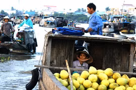 Lênh đênh chợ nổi Cái Răng 