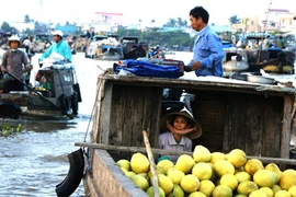 Lênh đênh chợ nổi Cái Răng 
