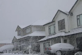 New Zealand: 40 năm lại có tuyết rơi 