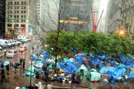 Bám trụ trong bão tuyết