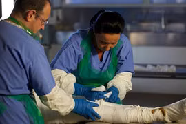 Người đầu tiên ướp xác giống Vua Ai Cập cổ đại