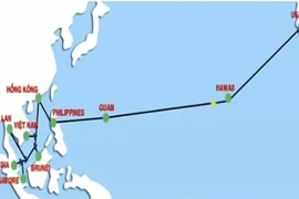 Internet đi quốc tế chậm do lại đứt cáp quang biển AAG