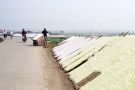 Chợt đắng lòng!