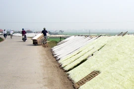 Chợt đắng lòng!