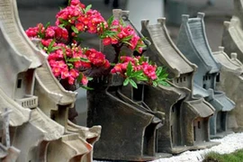 Sẽ lại có Phố hoa Hà Nội