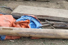 “Phen này ông quyết...”