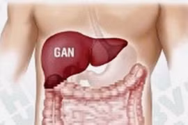 Thỉnh thoảng ngưng rượu để gan “nghỉ ngơi”