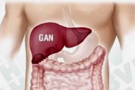 Thỉnh thoảng ngưng rượu để gan “nghỉ ngơi”