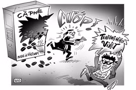Bảo vệ thương hiệu Việt: “Mất bò”… vẫn chưa lo “làm chuồng”