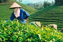 16 mặt hàng xuất khẩu đạt kim ngạch tỷ USD