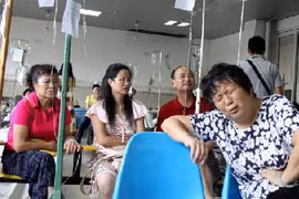 Hơn 220 người nhập viện do ăn tôm nghi nhiễm E.Coli