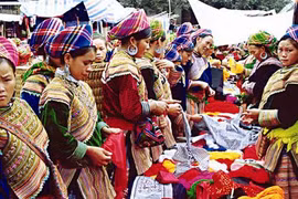 Săn “mầm đá” ở Sa Pa