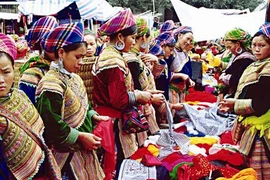 Săn “mầm đá” ở Sa Pa