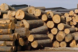 Nóng trong người!