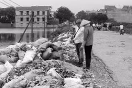 Bịt mũi vào làng