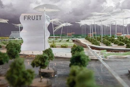 Mua hàng siêu thị ở nông trang