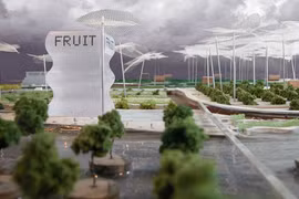 Mua hàng siêu thị ở nông trang