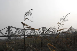 Bờ bãi sông Hồng