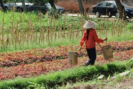 Thu hồi đất, dân sống bấp bênh