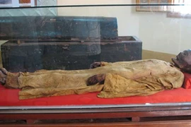 Giả mã xác ướp người Việt cổ