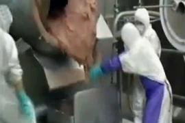 Thượng Hải: McDonald, KFC thê thảm trong bê bối thịt bẩn