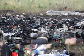 Còn 80 thi thể vẫn nằm tại hiện trường vụ rơi máy bay MH17