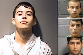 Đứa con bất hiếu