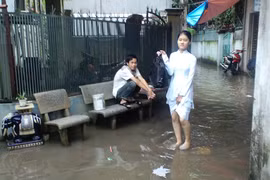 Những khuyến cáo bị… bỏ quên