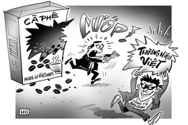 Bảo vệ thương hiệu Việt: “Mất bò”… vẫn chưa lo “làm chuồng”