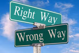 Du lịch để chống lụt!