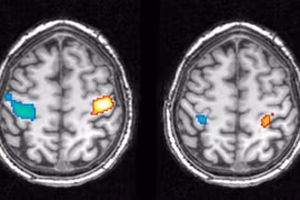 Con người tự chọn giấc mơ?