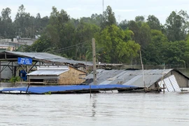 Cảnh báo lũ sớm ở đồng bằng sông Cửu Long: Chủ động hay bị động?