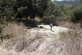 Hồi chuông báo động