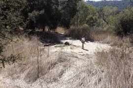 Hồi chuông báo động