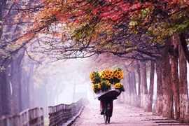 Cuộc thi ảnh nghệ thuật Hà Nội lần thứ 41