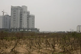 Đất vườn ao được chuyển thành đất ở