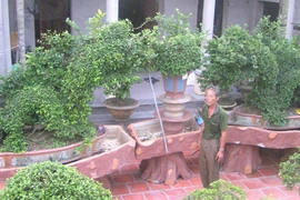 “Ông già hâm” và kiệt tác lưỡng long chầu nguyệt